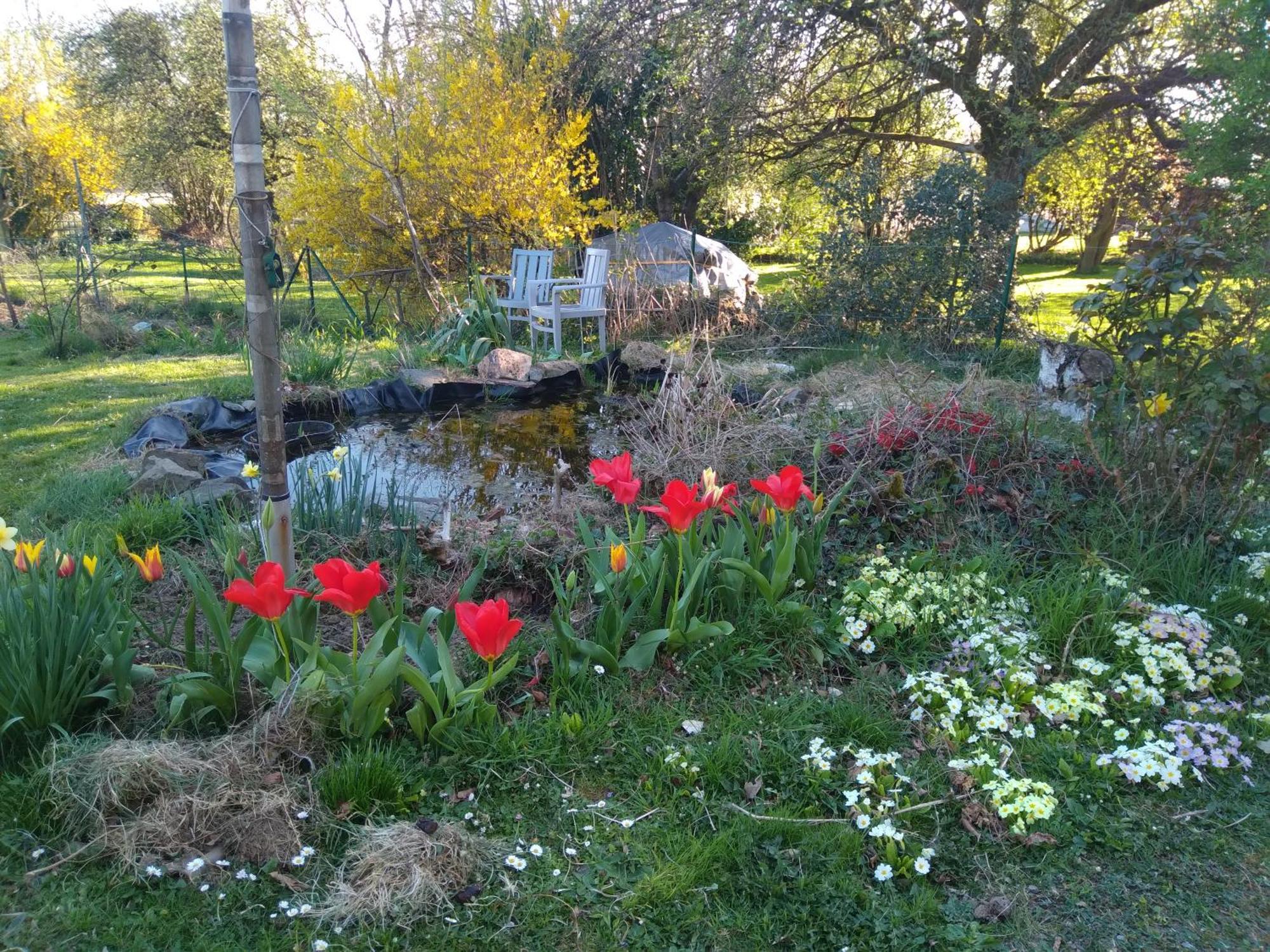فيلا Dinant La Bergeronnette Avec La Chaleur Du Feu De Bois Et Le Jardin الغرفة الصورة