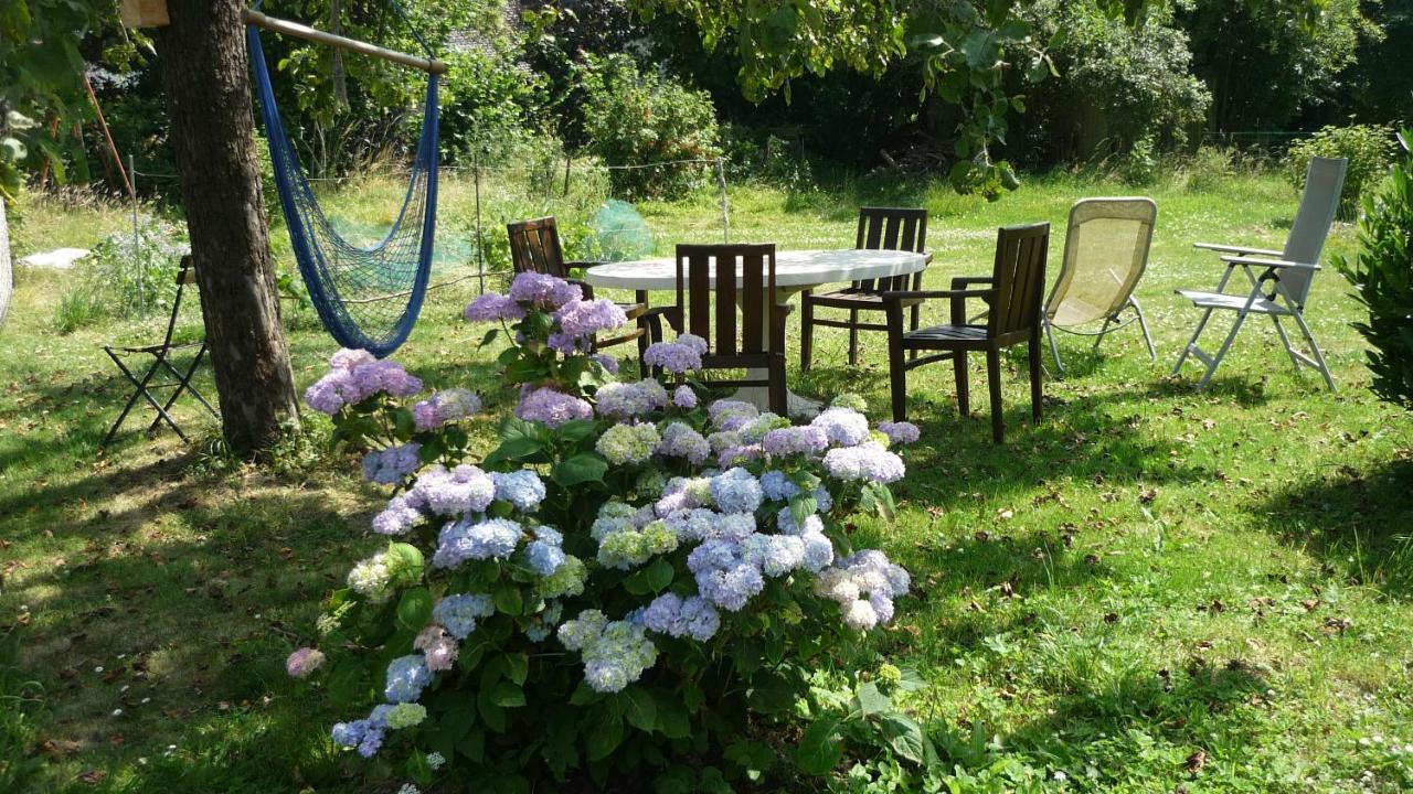 فيلا Dinant La Bergeronnette Avec La Chaleur Du Feu De Bois Et Le Jardin المظهر الخارجي الصورة